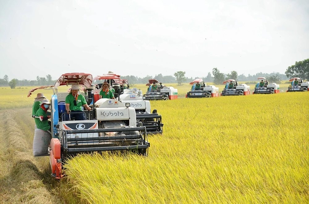 Nông nghiệp Tam Nông bứt phá từ đề án lúa chất lượng cao
