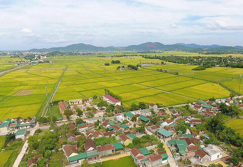 Cấp xã có quyền miễn thuế đất nông nghiệp