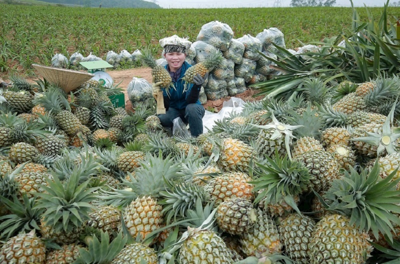 Trạm Thản bứt phá nhờ chuyển đổi cơ cấu cây trồng