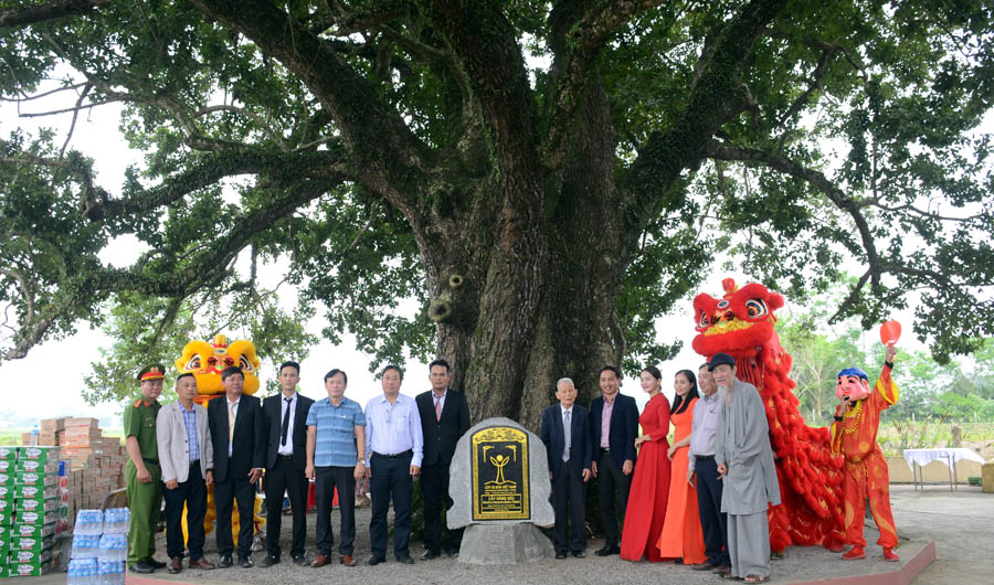 VACNE biểu dương hoạt động hiệu quả của Hội đồng Cây Di sản