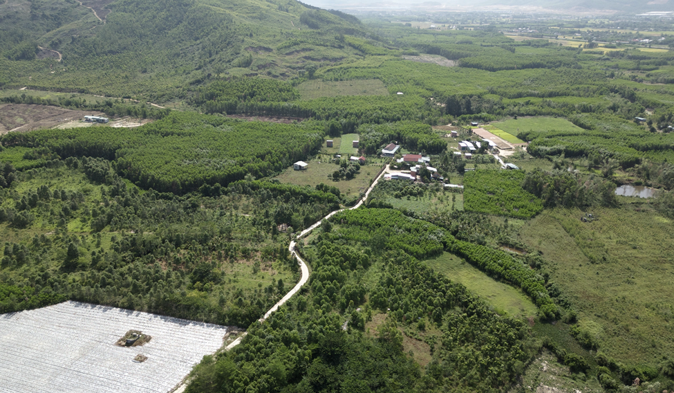  Phú Thọ: Chuyển đổi mục đích sử dụng hơn 40ha đất rừng để thực hiện 4 dự án