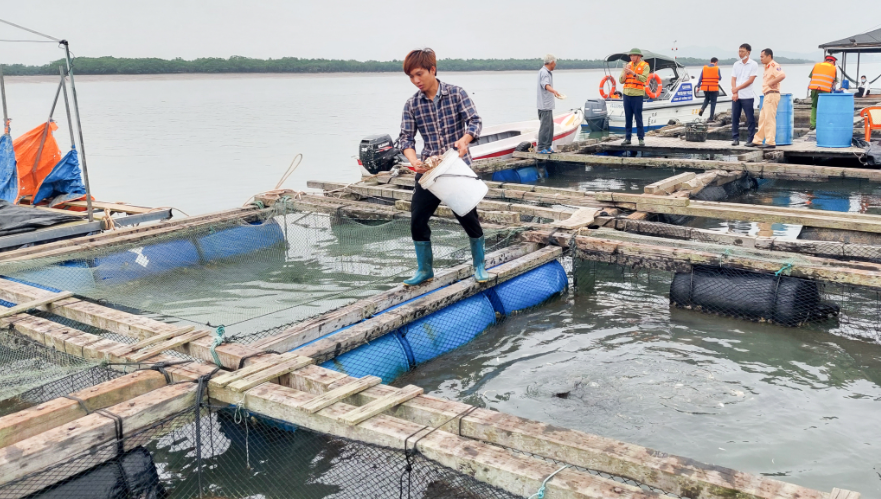 Quảng Ninh kỳ vọng tạo sức bật kinh tế ở nông nghiệp