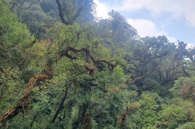 Sơn La thúc đẩy hình thành Khu dự trữ sinh quyển Mường La – Tà Xùa