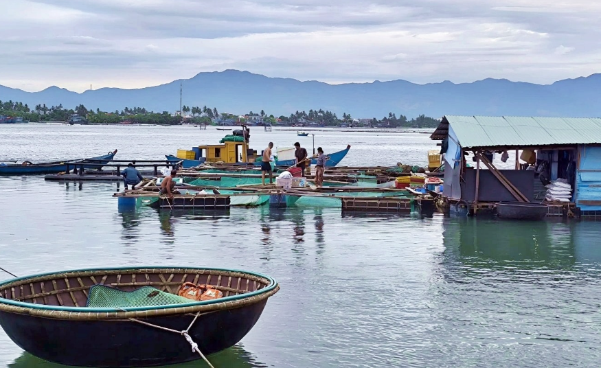 Rà soát toàn bộ thuỷ sản lồng bè, bảo đảm an toàn môi trường biển