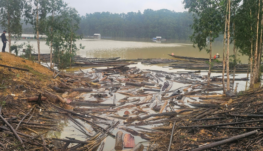 Hàng chục tấn gỗ, củi mục dạt về lòng hồ thuỷ điện, thuỷ lợi ở Huế sau lũ
