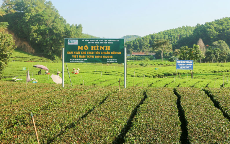 Thái Nguyên: Xây dựng mã số vùng trồng, nâng cao chất lượng nông sản