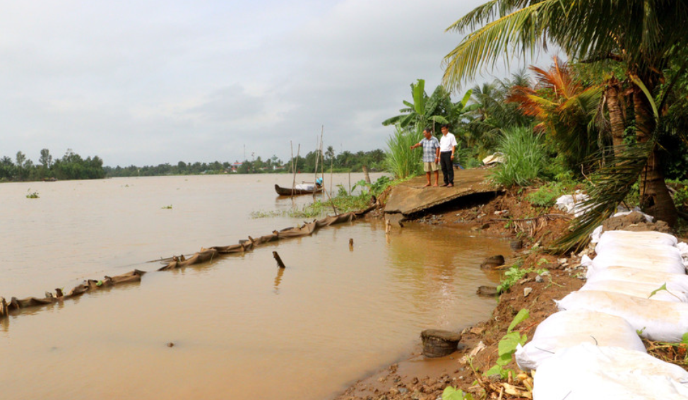 Vĩnh Long đầu tư gần 1.000 tỷ triển khai các dự án đê, kè, thuỷ lợi trọng yếu