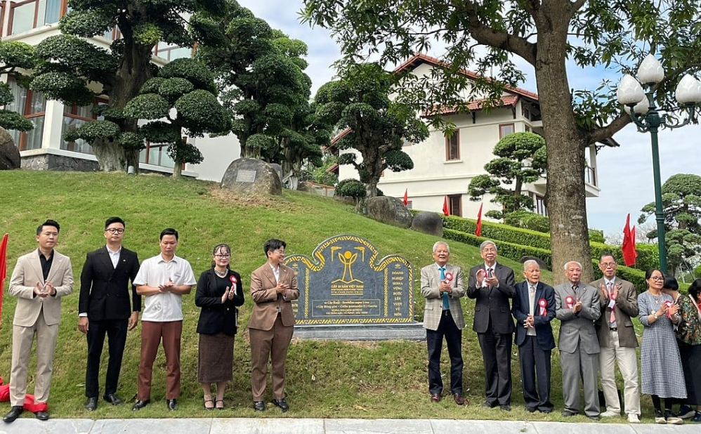 Bắc Ninh: 12 cây cổ thụ được công nhận Cây Di sản Việt Nam