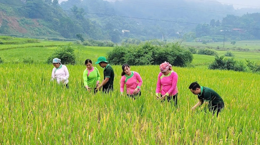 Lào Cai: Thúc đẩy canh tác nông nghiệp nghiệp theo hướng xanh, giảm phát thải