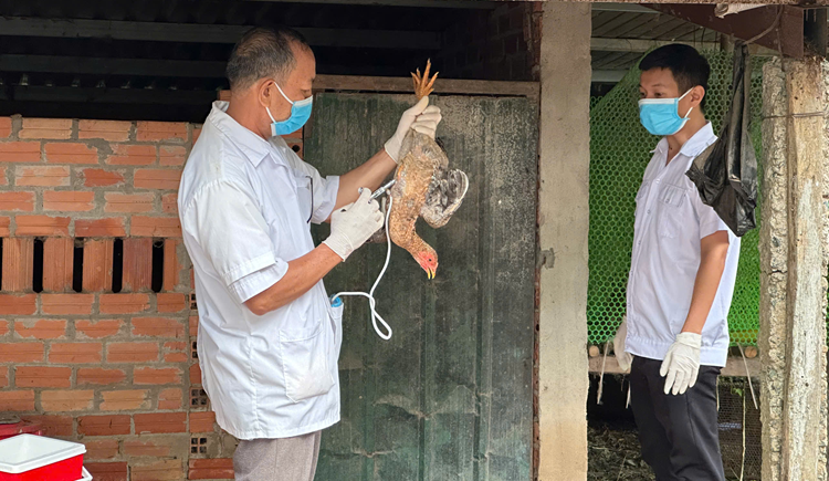 Phước Thành: Đẩy nhanh tiến độ tiêm phòng, nâng cao miễn dịch đàn vật nuôi