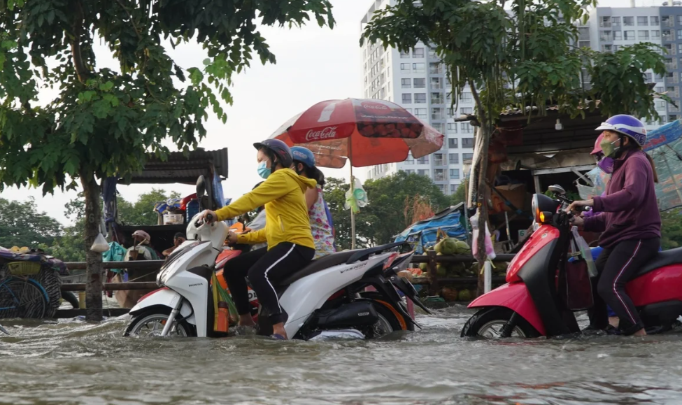 TP.HCM: Tăng cường năng lực ứng phó thiên tai