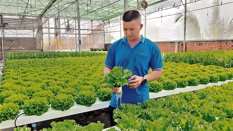 Ứng dụng công nghệ cao nâng tầm nông nghiệp Lai Châu