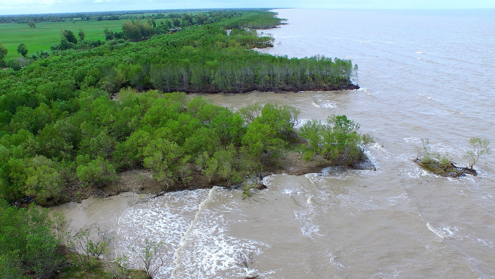 An Giang siết chặt quản lý rừng phòng hộ ven biển
