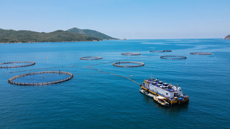 Nghệ An quy định mức thu sử dụng khu vực biển