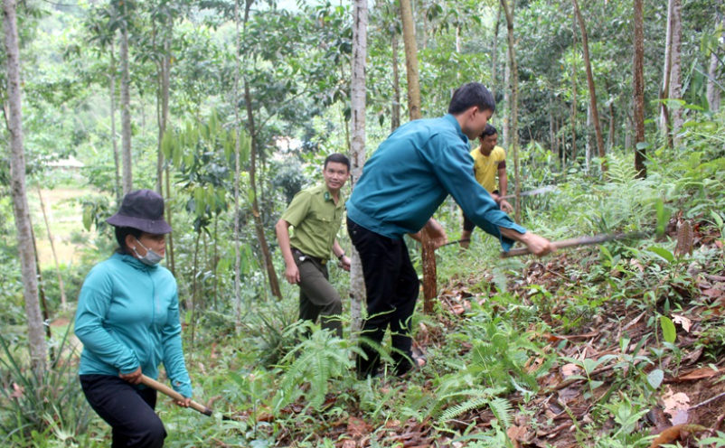 Siết chặt quản lý, bảo vệ tài nguyên rừng những tháng cuối năm
