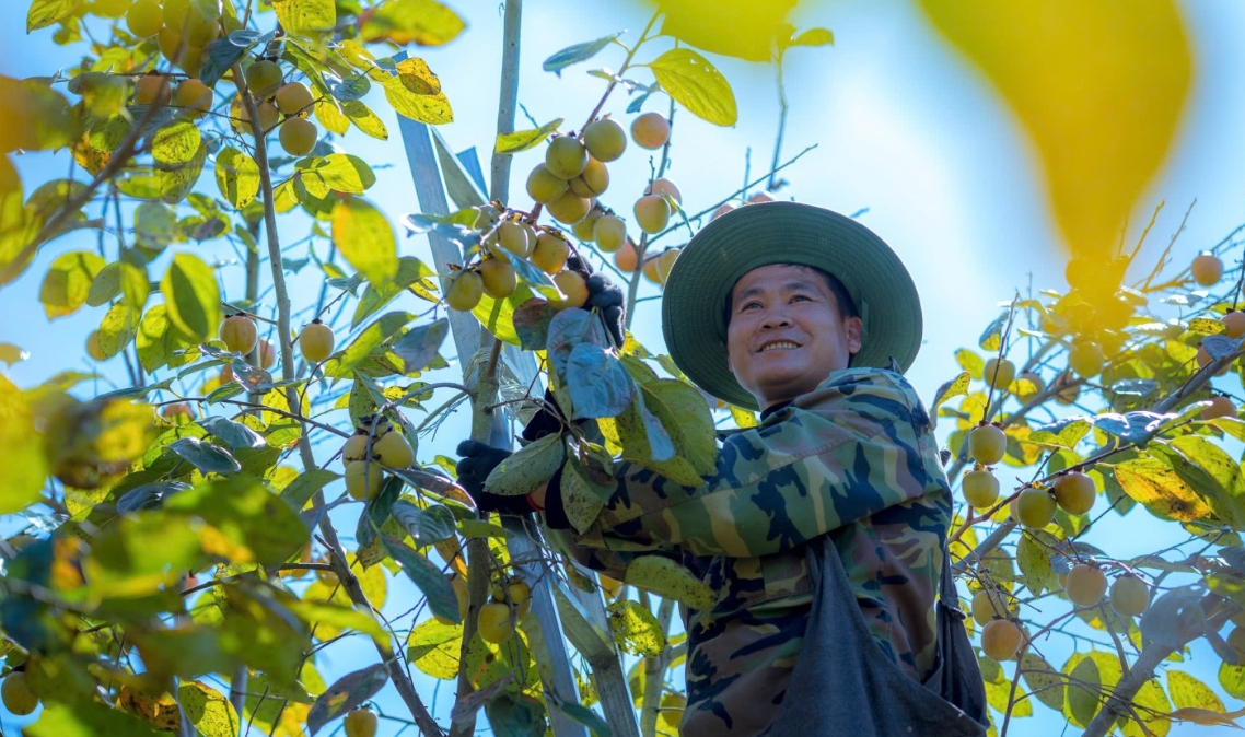 Cây ăn quả mở đường làm giàu cho nông dân Lạng Sơn
