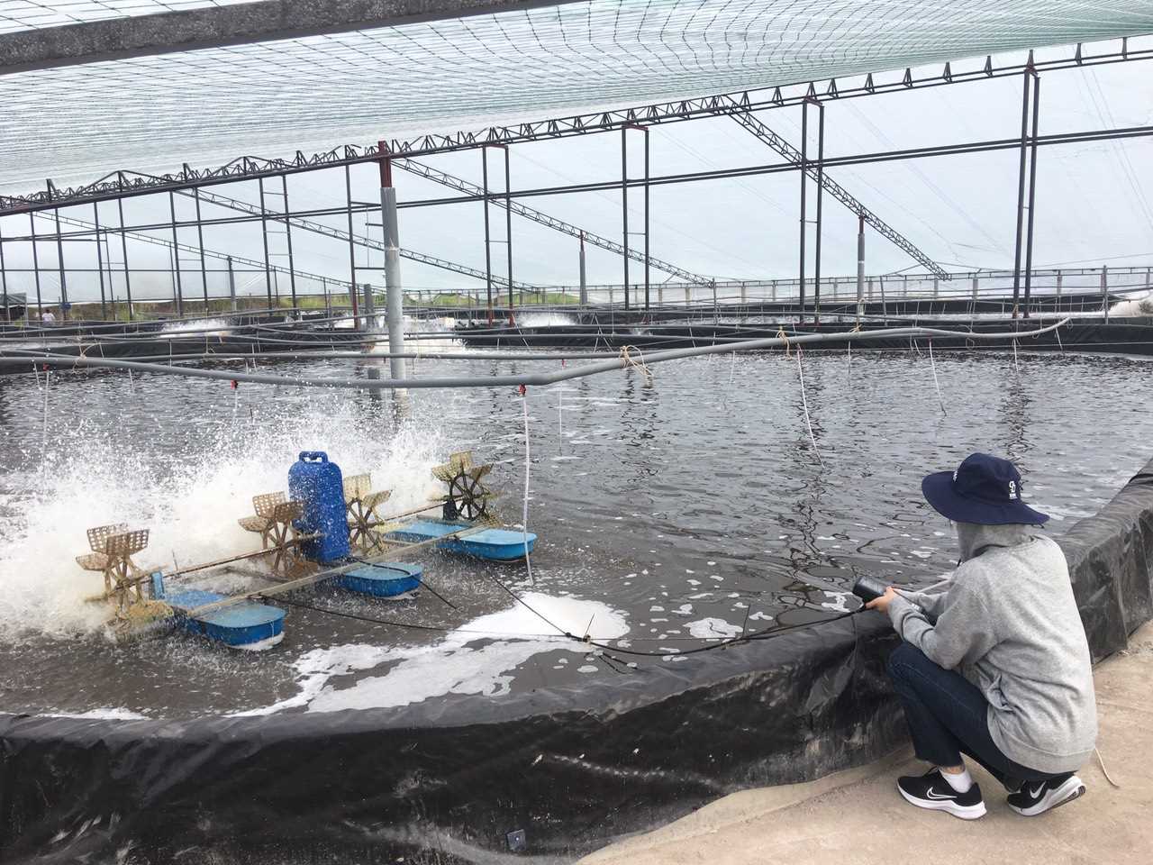 Đắk Lắk ban hành Kế hoạch quan trắc, cảnh báo môi trường vùng nuôi trồng thủy sản