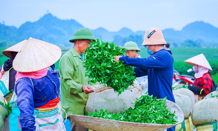 5 quan điểm cốt lõi xây dựng Nghị quyết về cơ chế chính sách phát triển kinh tế tư nhân