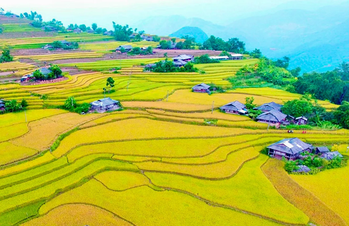 Điều chỉnh nội dung Chương trình phát triển kinh tế-xã hội vùng DTTS