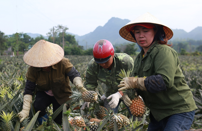 Nhiệm vụ và giải pháp thúc đẩy phát triển kinh tế tư nhân