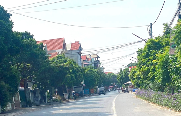 Hải Dương: Chuyển đổi mục đích hơn 12ha đất phục vụ cải tạo đường tỉnh 390