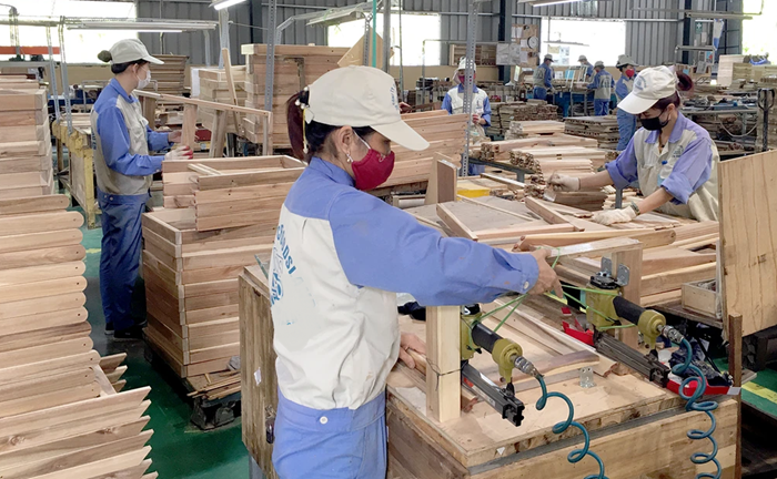 [Nghị quyết 68-NQ/TW] Kinh tế tư nhân là một động lực quan trọng nhất của nền kinh tế