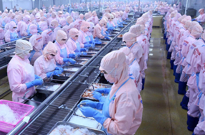 Khẩn trương triển khai Chương trình tín dụng đối với lĩnh vực nông, lâm, thủy sản