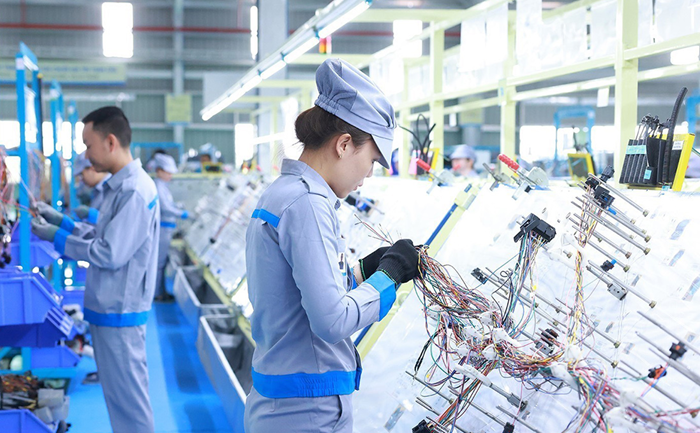 Thủ tướng làm Trưởng Ban Chỉ đạo triển khai Nghị quyết 68 về phát triển kinh tế tư nhân
