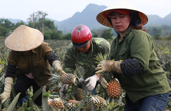 ‘Chúng ta đã thay đổi cục diện sản xuất nông nghiệp và kinh tế nông thôn’