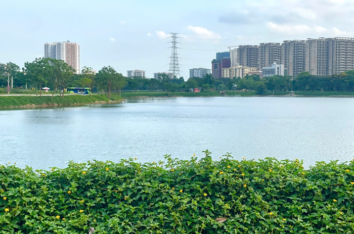 Công viên Yên Sở - Mảng xanh giữa lòng đô thị