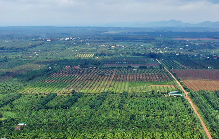 Thận trọng khi rà soát, sửa đổi các luật trong lĩnh vực nông nghiệp và môi trường