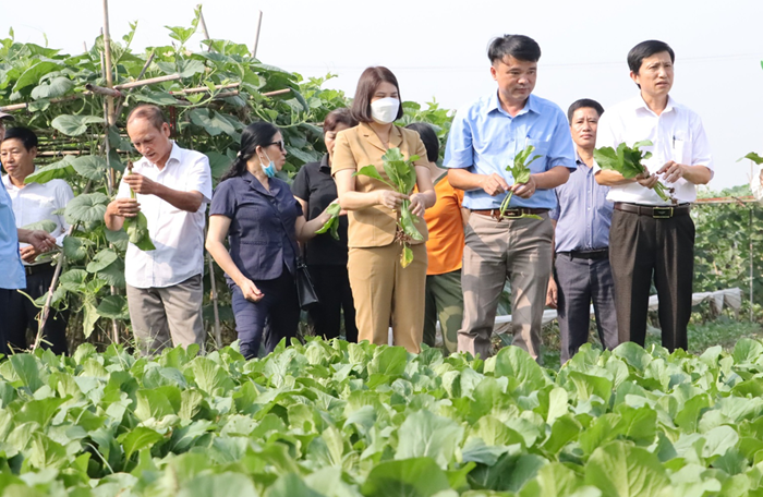 Xuất khẩu rau quả tháng 7 ước đạt 810 triệu USD