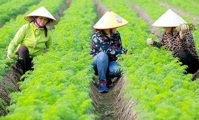 Đề án trồng trọt giảm phát thải: Kỳ vọng giảm 6-8 triệu tấn CO2