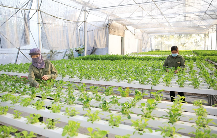 Phát triển KHCN, chuyển đổi số, hình thành năng lực sản xuất mới cho nền kinh tế