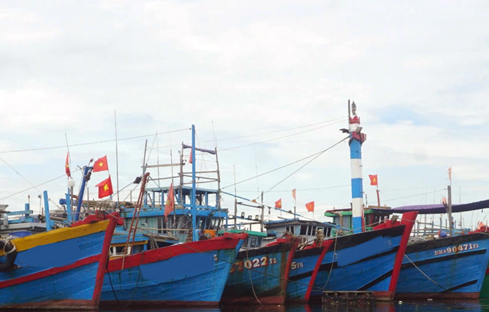 Chống IUU: Cần thống nhất đầu mối và chịu trách nhiệm cụ thể
