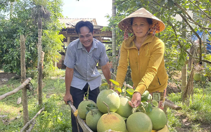 Những hạn chế trong triển khai xây dựng nông thôn mới và giảm nghèo bền vững