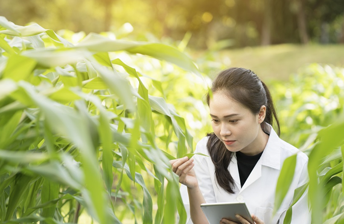 Chính sách dành cho chuyên gia về khoa học công nghệ, đổi mới sáng tạo