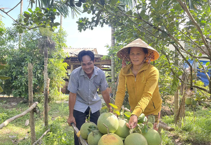 Xây dựng NTM và GNBV giai đoạn mới phải hướng mục tiêu phát triển toàn diện, bền vững