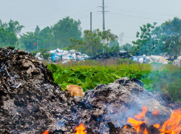 Số vụ vi phạm về môi trường trong 9 tháng giảm mạnh so cùng kỳ