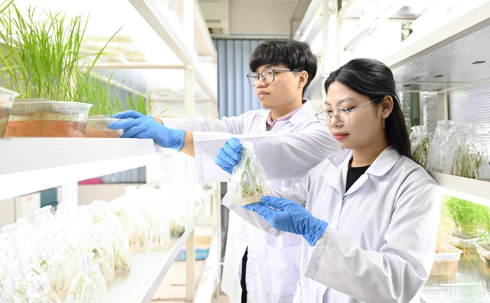 Tổ chức khoa học và công nghệ khi thành lập phải đáp ứng điều kiện gì?