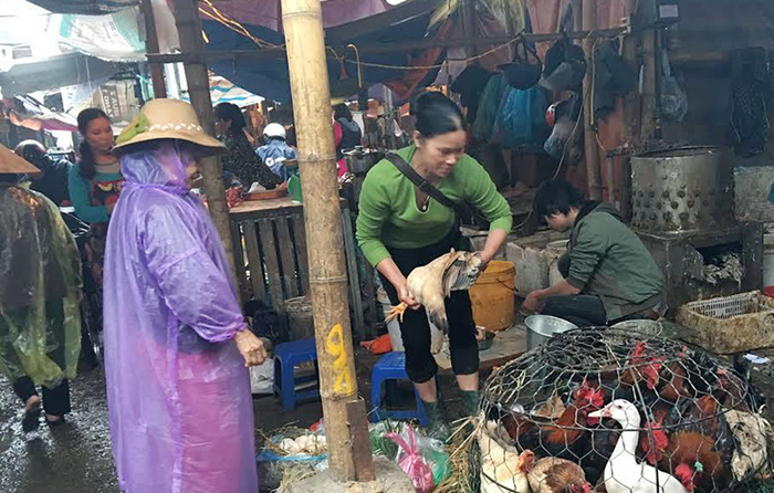 Hà Nội sẽ di dời cơ sở giết mổ động vật nhỏ lẻ, tự phát, không đủ điều kiện vệ sinh