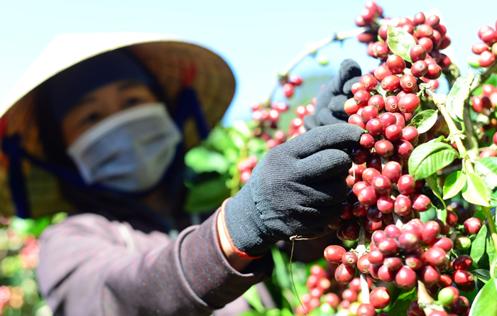 Tiếp tục đẩy mạnh hợp tác nông nghiệp, chăn nuôi giữa Việt Nam và Bulgaria