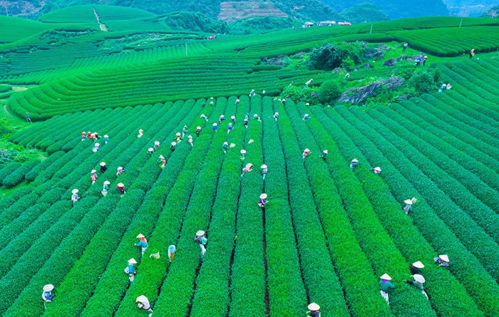Xây dựng Kế hoạch phát triển kinh tế-xã hội giai đoạn 2026-2030