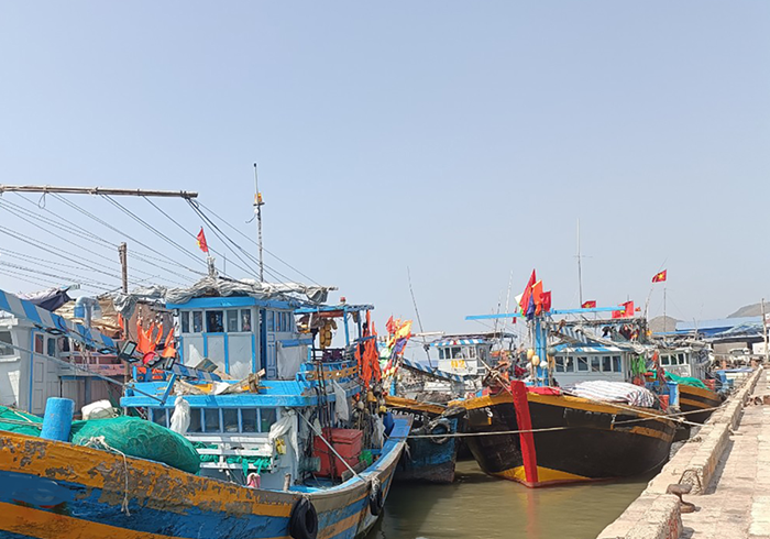 Tịch thu phương tiện, không nhân nhượng với tàu cá cố tình vi phạm