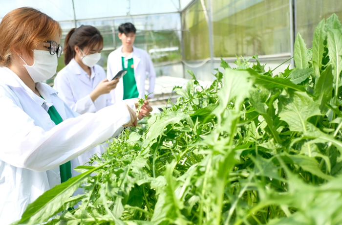 Quy định xét tài trợ, đặt hàng thực hiện nhiệm vụ khoa học, công nghệ và đổi mới sáng tạo