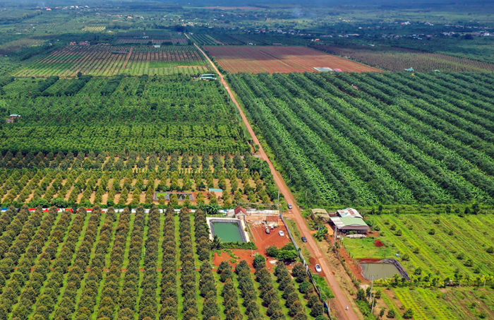 Xem xét giảm phí đánh giá tác động môi trường với dự án nông nghiệp quy mô nhỏ