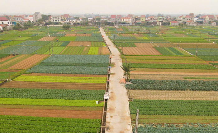 Sản xuất nông, lâm nghiệp và công nghiệp 10 tháng năm 2025