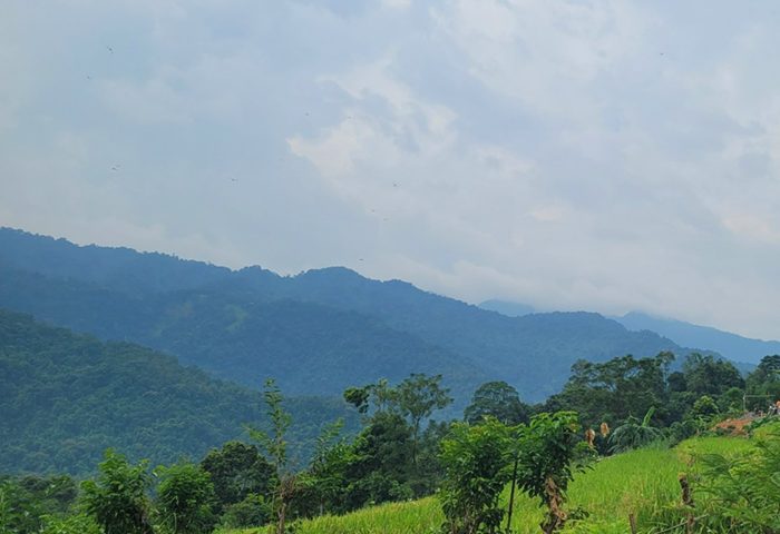 Sửa đổi 15 luật trong lĩnh vực nông nghiệp, môi trường: Cần phân cấp mạnh cho địa phương