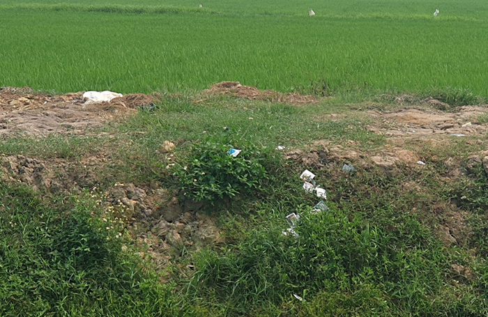 ‘Phục hồi sức khỏe đất’ cần được xem là nhiệm vụ cấp thiết