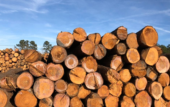 Châu Âu khai thác ‘Kinh tế sinh học’ thế nào?